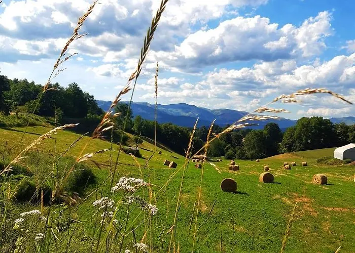 Bed & Breakfast Ldl *